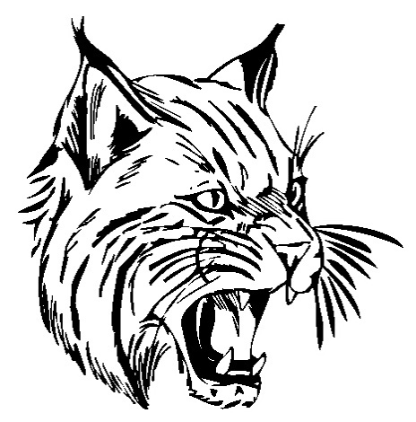 Wildcat Logo